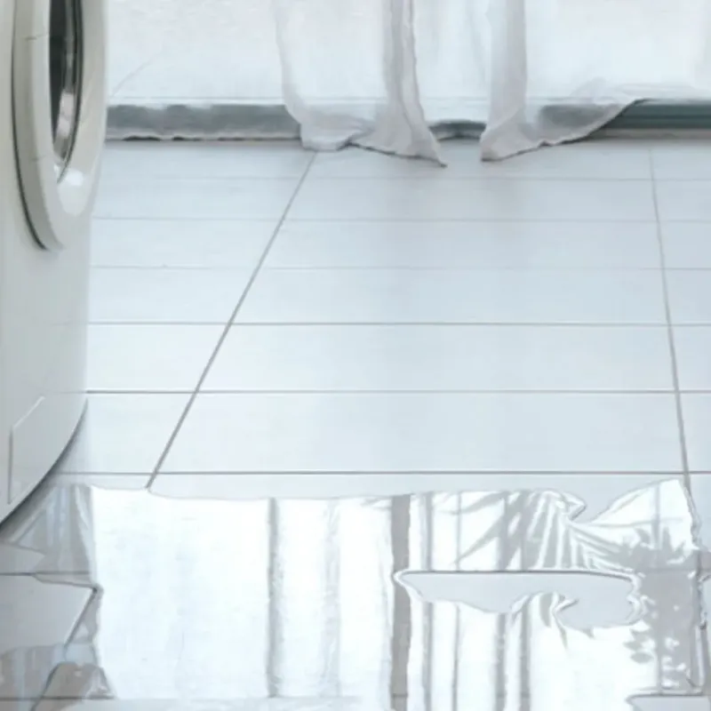 Appliance Leak Cleanup in Huntington, VA