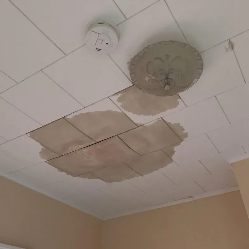 Ceiling Water Damage Repair in Huntington, VA