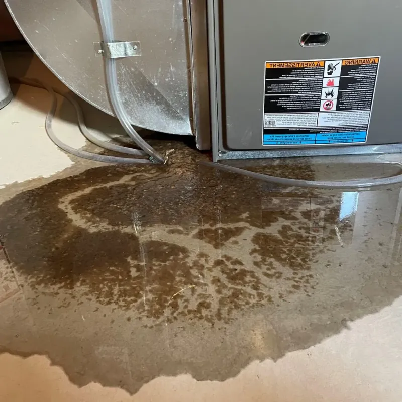 Pipe Burst and Leak Restoration in Huntington, VA
