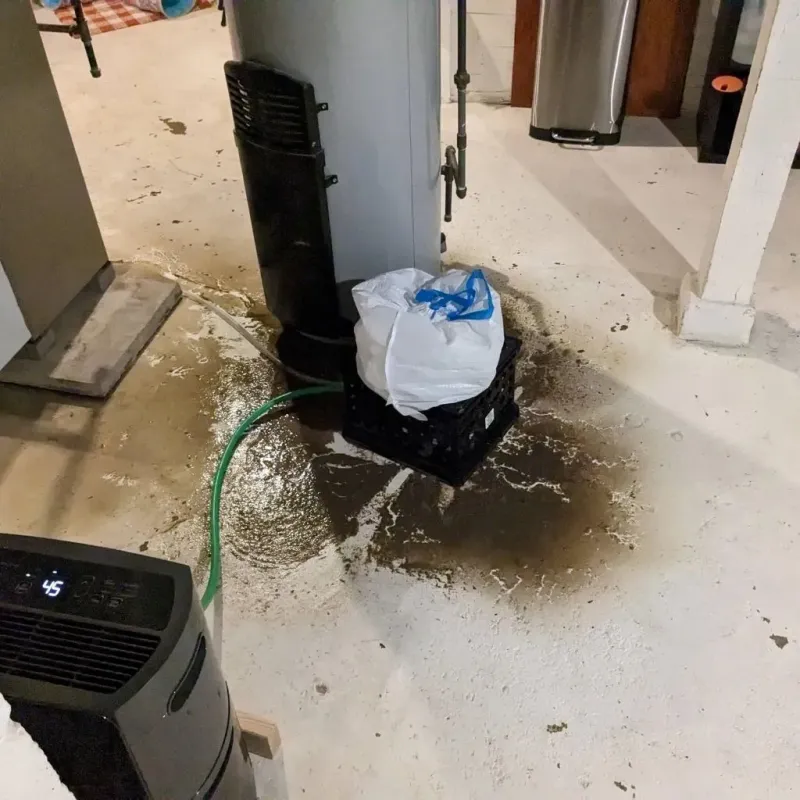 Sewage Backup Cleanup Service in Huntington, VA